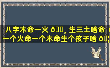 八字木命一火 🕸 生三土啥命（一个火命一个木命生个孩子啥 🦍 命好）